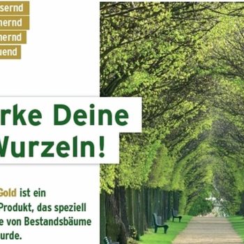 Bodensubstrat zur Düngung und Bodenverbesserung